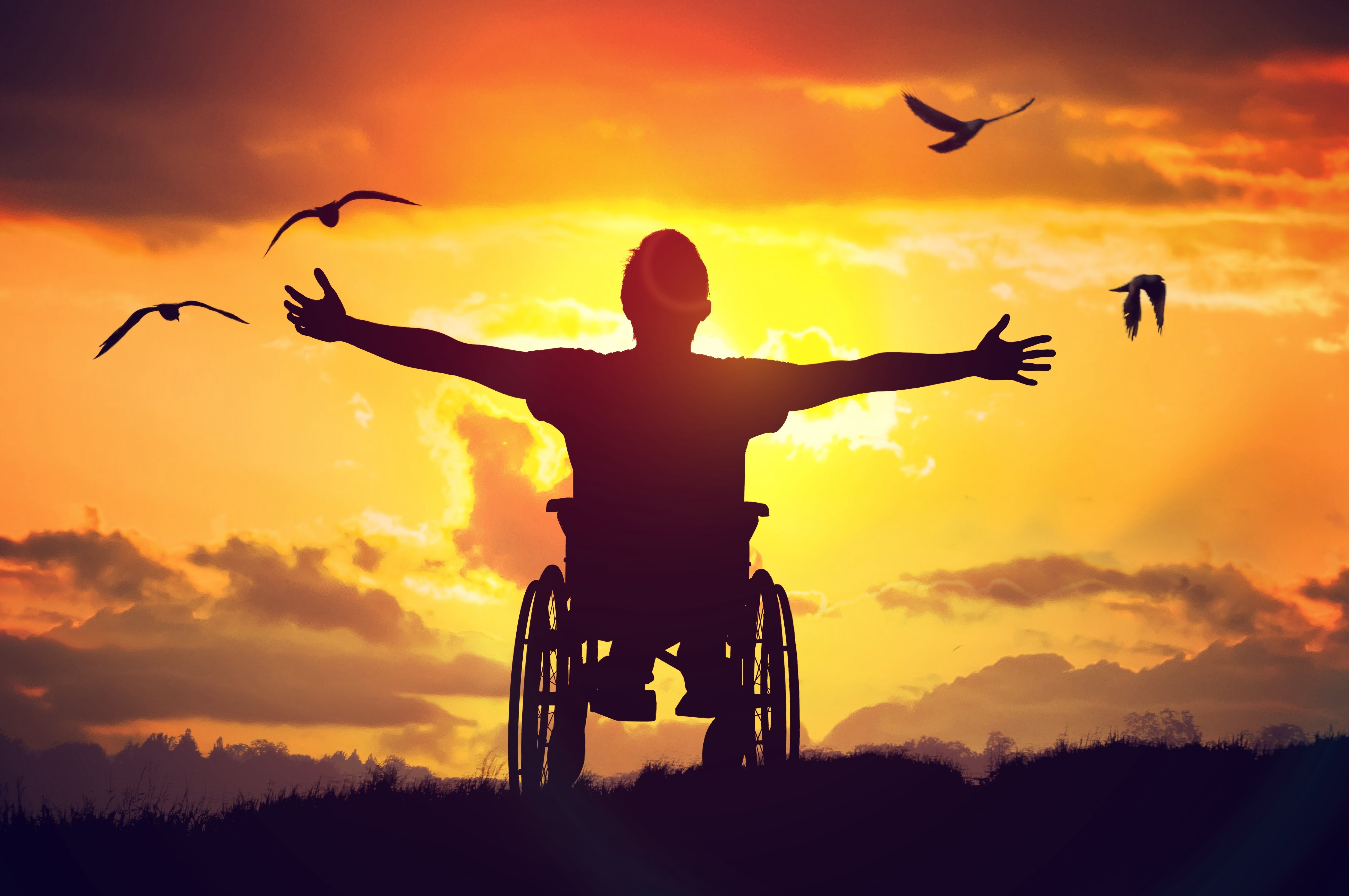 illustration d'une personne en fauteuil roulant en train d'admirer un paysage